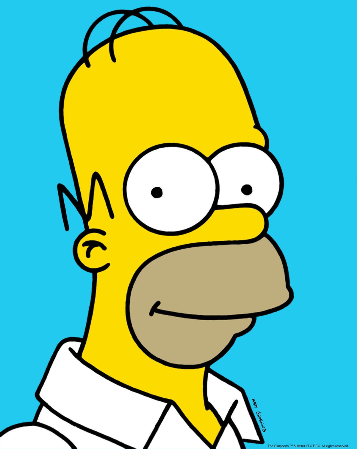 Vlastimil Zavřel dabuje Homera Simpsona.